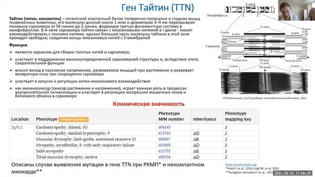 Школа клинического мышления педиатра