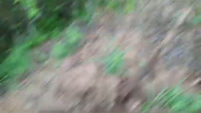 Нашел метал стал откапывать что же там под этой землёй . находится ???? смотреть онлайн