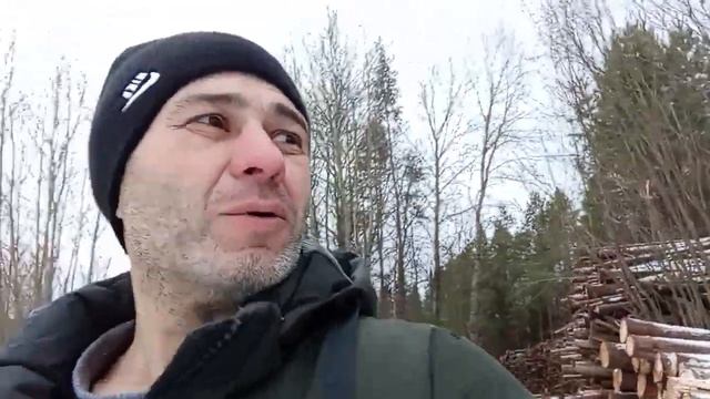 ЛЕСНАЯ ПРОГУЛКА. смотреть онлайн