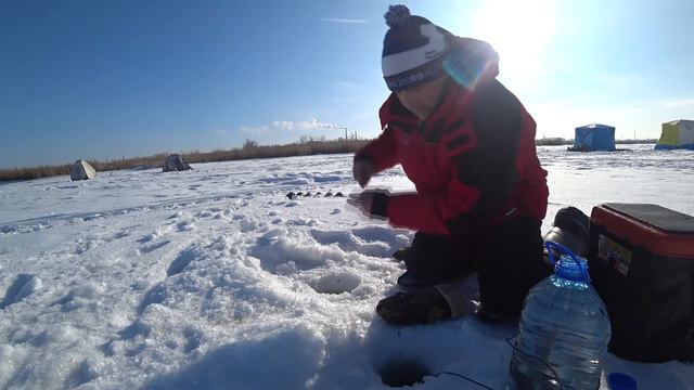 Ловля чебака для "нарезки" будет ли на нее клевать судак зимой? смотреть онлайн