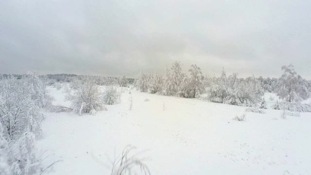 24.12 смотреть онлайн