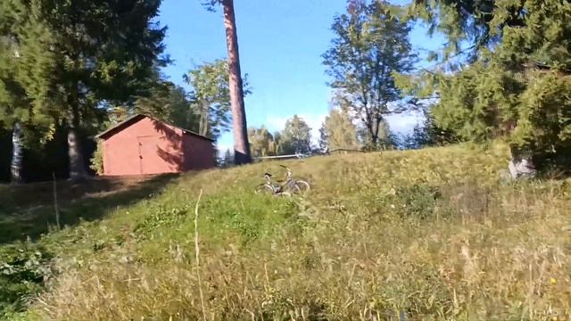 # природа # анекдот ,прогулка в парке ? смотреть онлайн