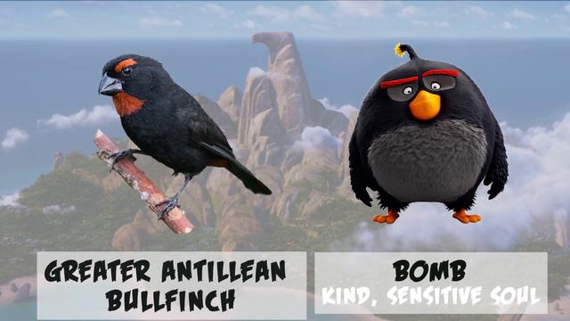 How Angry Birds Characters look in real-life? (Part 1/2) смотреть онлайн