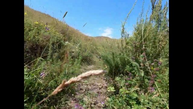 Вело поход по Северной Осетии. День 6 смотреть онлайн