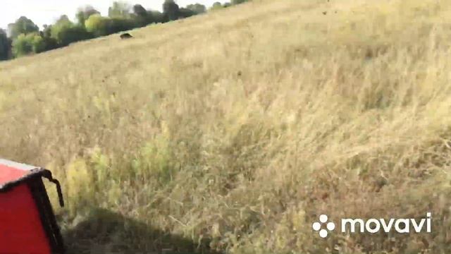 Первый выезд в поле переделаного прицепа смотреть онлайн