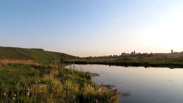 Вечерняя прогулка или где живут клещи) смотреть онлайн