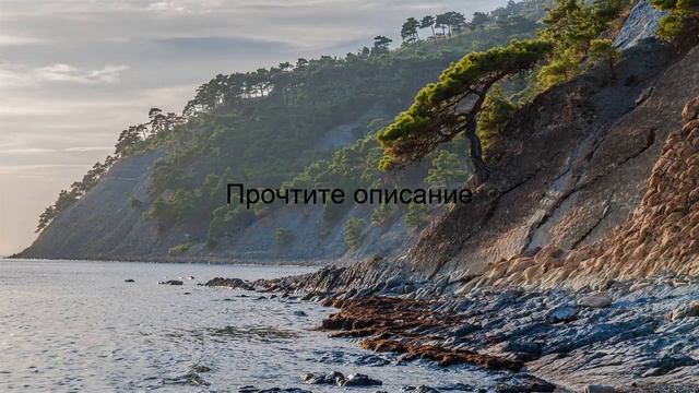 сочи русские сезоны отель 4 россия сочи имеретинский курорт смотреть онлайн