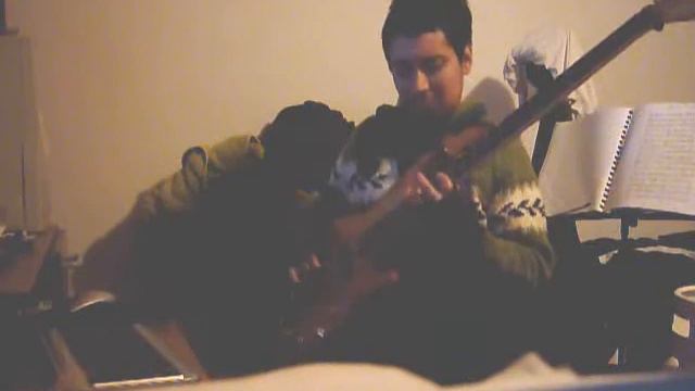 Solo Bajo Ibanez RD 900 смотреть онлайн