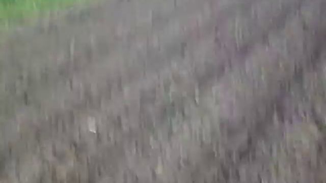 P5210055 смотреть онлайн