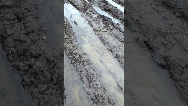 Улицы города морозовск ростовская область смотреть онлайн