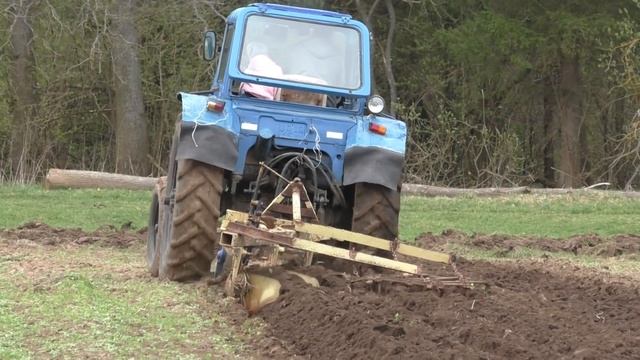 #130 Весенняя вспашка огородов под картофель на мтз-80 смотреть онлайн