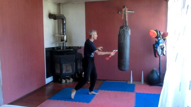 Universal combat system техника 4 смотреть онлайн