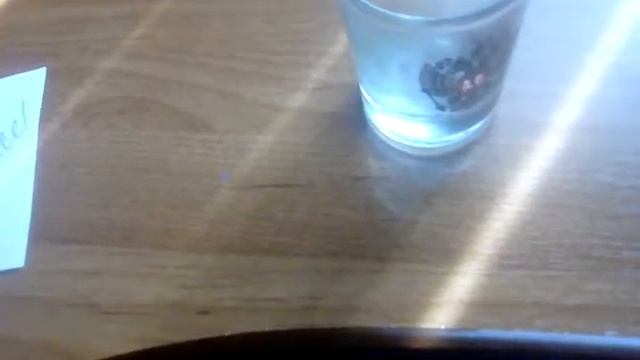 Как правильно надо делать дз. смотреть онлайн