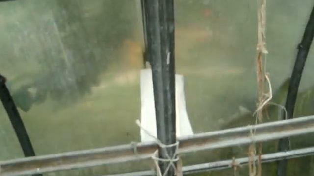 Инфракрасный теплый пленочный потолок в теплицу смотреть онлайн