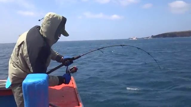 Супер рыбалка. Желтохвост (японская лакедра) 9 кг смотреть онлайн