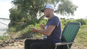 Чехонь на реке Дон.