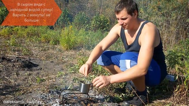 Вегетарианские Кафе и Рестораны