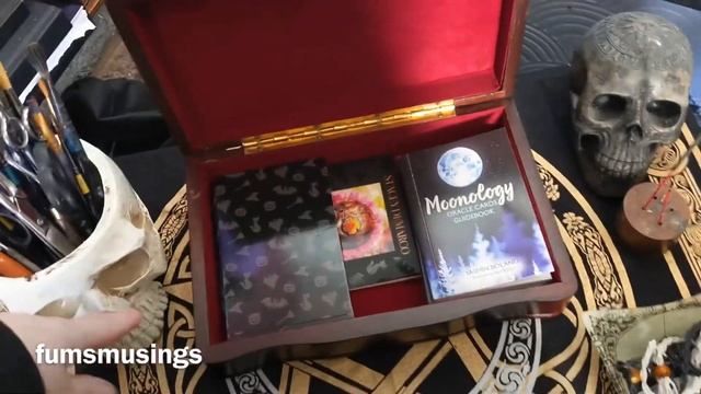 How I store my oracle cards смотреть онлайн