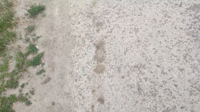 АКАДЕМГОРОДОК СТРИМ смотреть онлайн