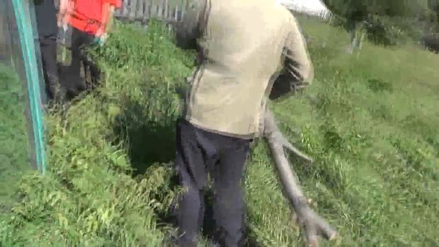 Как создать музей под открытым небом. 04. 09. 2016. Пос.Потеряевка смотреть онлайн