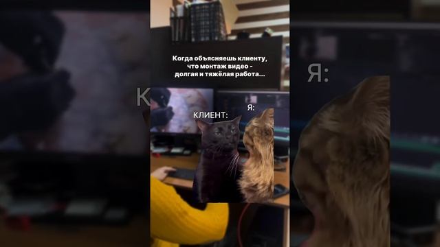 Когда объясняешь клиенту, что монтаж видео - долгая и тяжёлая работа смотреть онлайн