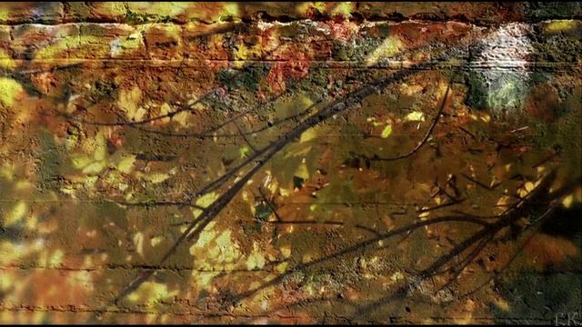 Черный кофе Листья . С ветки падающий лист (миньон 1987) (Переступи порог -переиздание 1996) смотреть онлайн