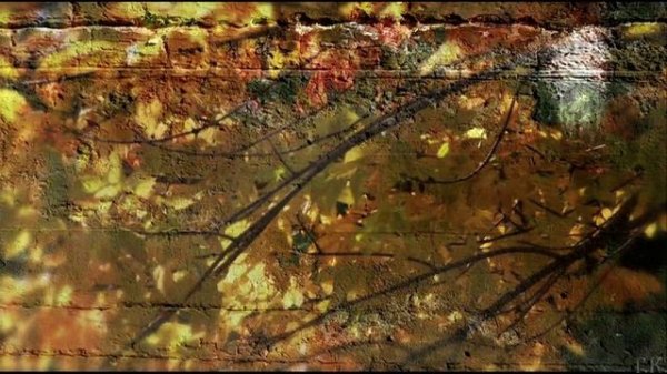 Черный кофе Листья .  С ветки падающий лист (миньон 1987) (Переступи порог -переиздание 1996)