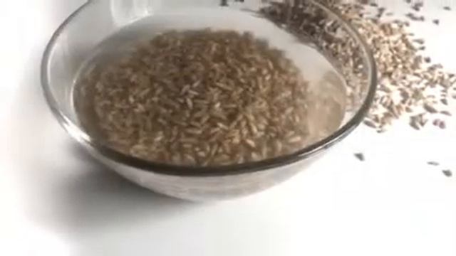 Сыроедение. Полба. Турбожрачка. Спортивное питание. смотреть онлайн