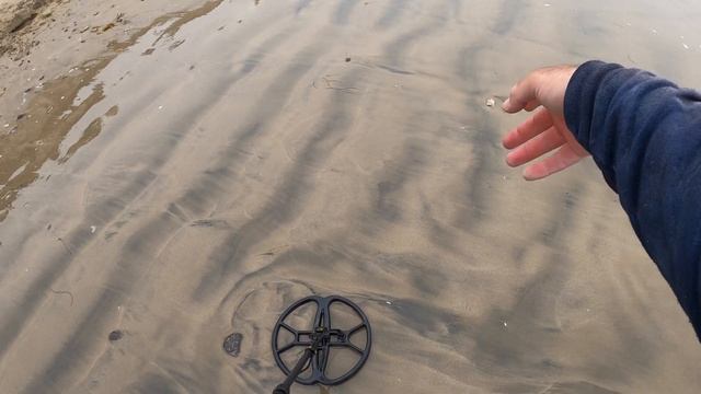 Stainless Steel Ring, Sovereign GT, 2 Coils, 12x13 NEL, 15” Ultimate Coil, Beach Metal Detecting смотреть онлайн