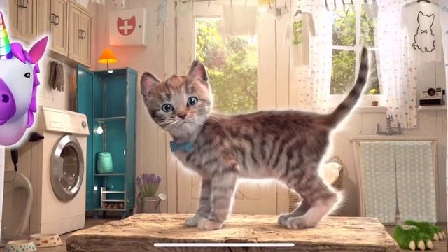 НОВЫЕ ПРИКЛЮЧЕНИЕ МАЛЕНЬКОГО КОТЕНКА в школе и дома - Выбираем игры с котиком смотреть онлайн