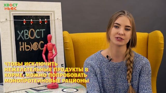Аллергия на курицу у питомцев смотреть онлайн