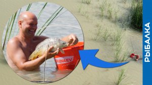 Поймал ДИКОГО САЗАНА на сломанную УДОЧКУ!