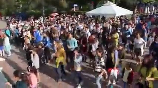 Социальные танцы во время IV Фестиваля образования смотреть онлайн