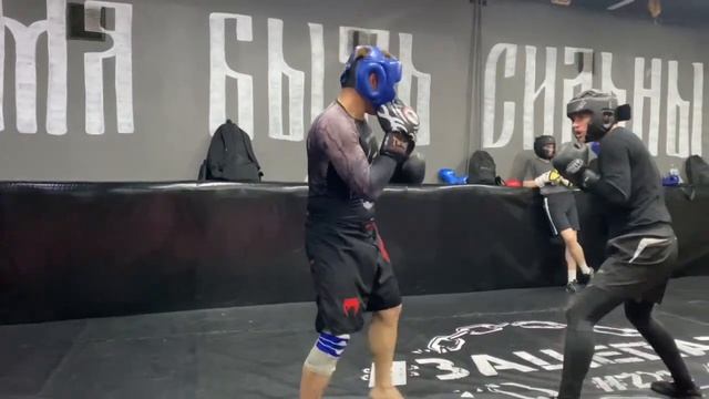 Первые спарринги. Обучения с нуля. Стаж занятий - один месяц. смотреть онлайн