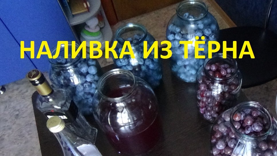 Наливка из тёрна (спиртовая настойка на тёрне) смотреть онлайн