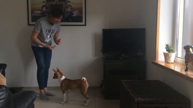 Выдержка урок 5 смотреть онлайн