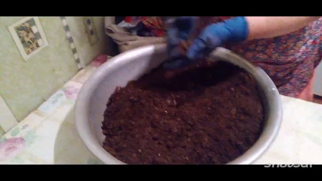 ГОТОВИМ ГРУНТ для рассады. Показывает и рассказывает мама. смотреть онлайн