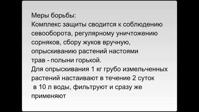 Чем болеет лук и чеснок (diseases of onion and garlic) смотреть онлайн