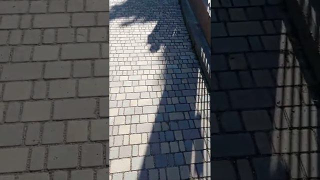 Алушта / 13 день / ToDream! смотреть онлайн