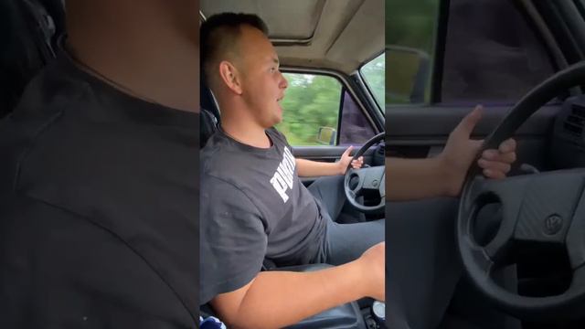 В поисках дома ПАШИ ПЭЛА смотреть онлайн