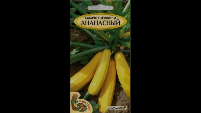 Обзор сорта кабачка "Ананасный" (характеристики, свойства, фото) смотреть онлайн