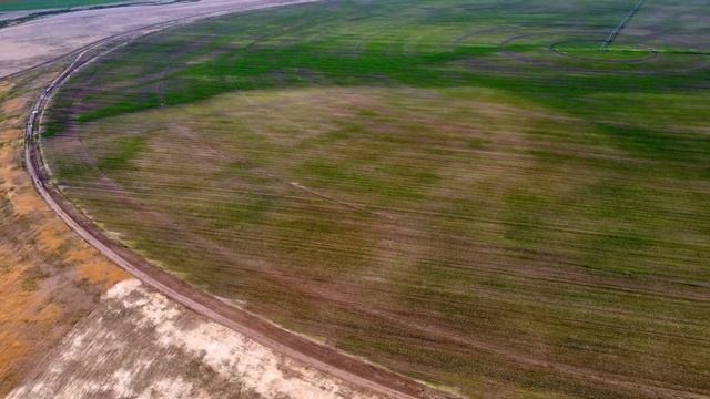 Чем кормить коров и как сделать качественный корм для КРС в Казахстане? | Айс | AgroBiz смотреть онлайн