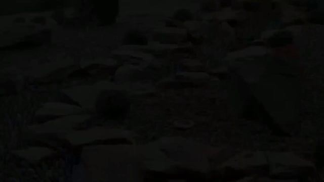 Сухой ручей в дизайне сада