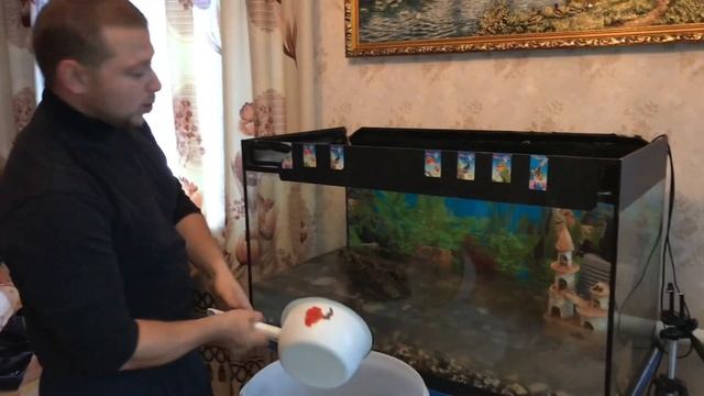 ПОДАРОК МАМЕ!!! ЧАСТЬ 1! АКВАРИУМ На 300л. ТРАВА И ЧЕРНОПОЛОСЫЕ ЦИХЛОЗОМЫ!!! ЗАПУСК НОВОГО АКВАРИУМ смотреть онлайн