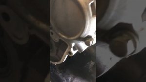 Доработка дренажа помпы Stels Guepard 800. Часть 1.