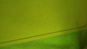 Эксперимент разоблачение! Как почистить пластиковую разделочную ДОСКУ Столовым Уксусом.