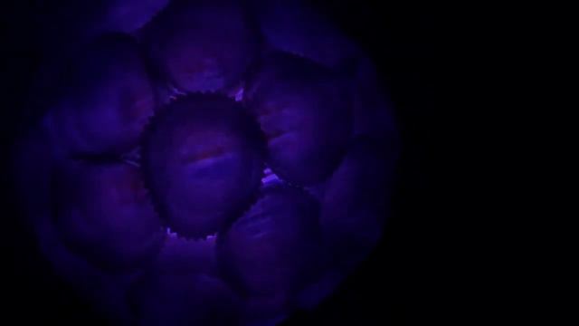 Breathing Hydrangea Lamp (Lilypad, LED strip) смотреть онлайн