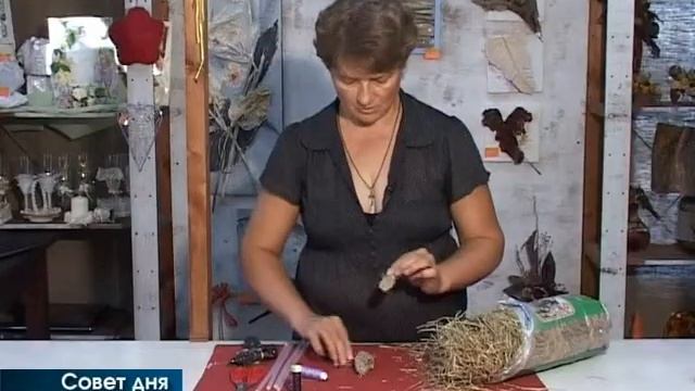 Совет. Мышка из сухой травы смотреть онлайн