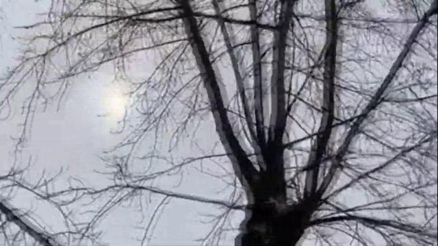 тундра (солнце идёт впереди меня) смотреть онлайн