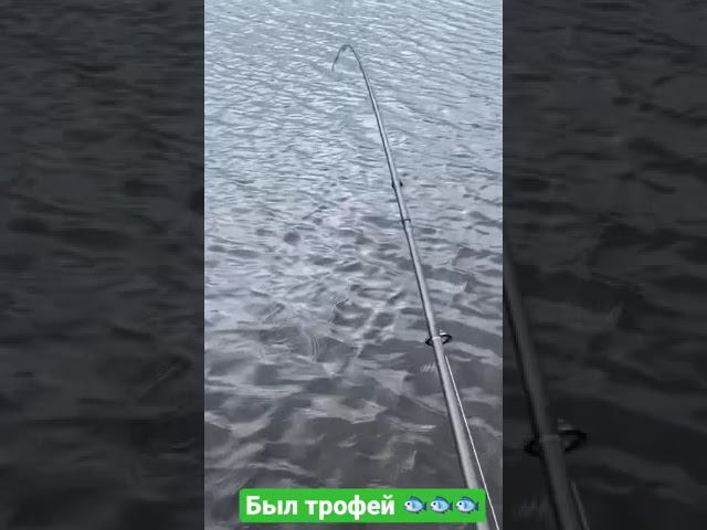 Рыбалка на пр.Мега смотреть онлайн